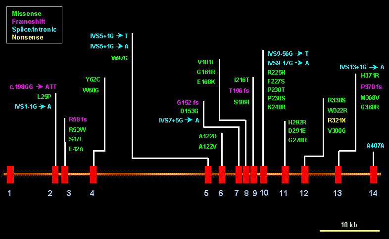 wpe8.gif (14589 bytes)