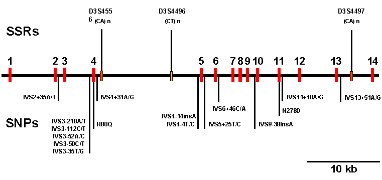 wpe4.gif (7850 bytes)