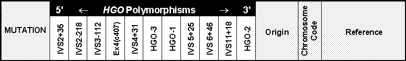 wpeB.gif (5834 bytes)