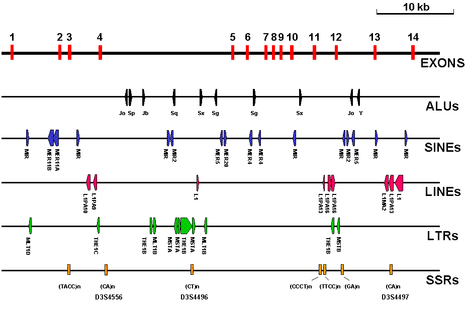 wpe2.gif (13308 bytes)